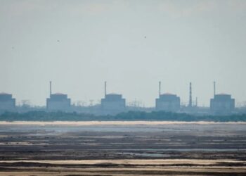 Rusia decidirá destino de electricidad de planta nuclear de Zaporizhia