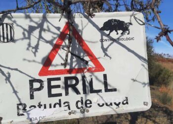 La Generalitat pretén abordar la crisi de la Pesta Porcina Africana amb falses solucions