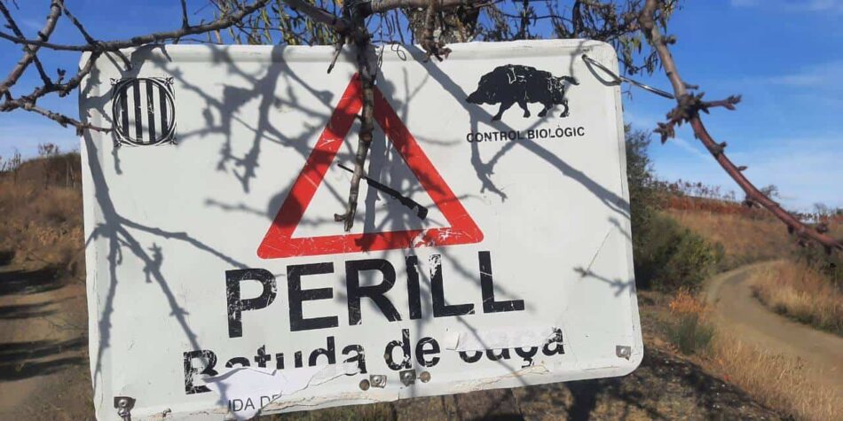 La Generalitat pretén abordar la crisi de la Pesta Porcina Africana amb falses solucions