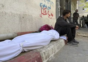 Palestina: Israel violó el alto al fuego en Gaza 591 veces