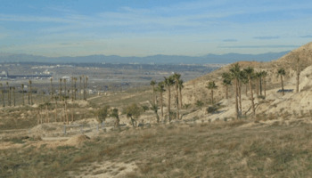 Un particular se apropia de parcelas municipales ante la inacción del Ayuntamiento de Paracuellos de Jarama