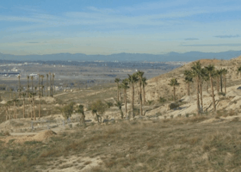 Un particular se apropia de parcelas municipales ante la inacción del Ayuntamiento de Paracuellos de Jarama
