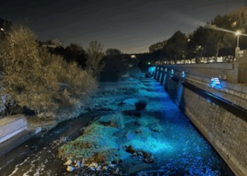 Denuncian la iluminación del río Manzanares ante disciplina ambiental por su impacto en especies protegidas