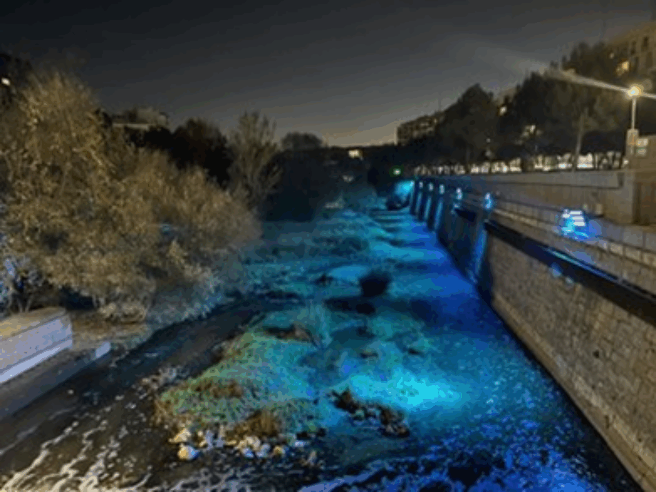 Denuncian la iluminación del río Manzanares ante disciplina ambiental por su impacto en especies protegidas