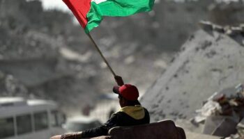 «Los Reyes Magos no tienen tanto carbón: del falso alto al fuego en Gaza a la desregulación ambiental», Ecologistas en Acción presenta su balance de 2025