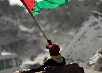 Balance ambiental de 2025: Ecologistas en Acción advierte de que los Reyes Magos no van a tener tanto carbón