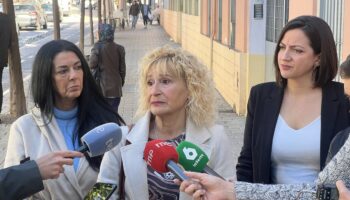 El Partido Verde denuncia en el Parlamento Europeo junto a AMAMA las irregularidades con los cribados de cáncer de mama bajo el Gobierno Bonilla