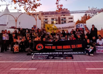 Protestan a las puertas del Circ de Nadal para pedir el cese del uso de animales 
