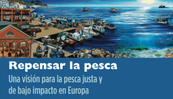 Ecologistas en Acción hace un llamamiento en Bruselas para acelerar la transición justa hacia una pesca equitativa y de bajo impacto ambiental