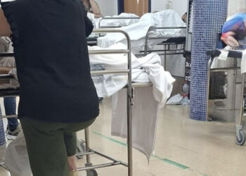 Podemos denuncia el colapso de la sanidad pública andaluza ante la epidemia de gripe y exige la reapertura de camas hospitalarias y el refuerzo del personal