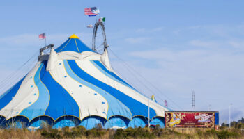 Organizaciones de bienestar animal lamentan la vuelta del circo con animales a la Comunidad Valenciana