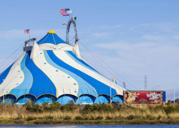 Organizaciones de bienestar animal lamentan la vuelta del circo con animales a la Comunidad Valenciana