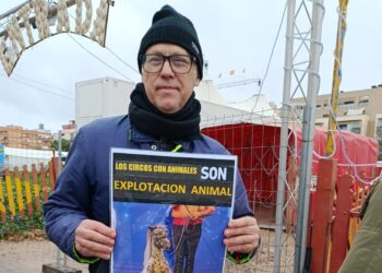 Continúan las protestas por el uso de animales frente al Circ de Nadal 