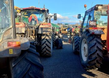 Izquierda Unida Castilla y León rechaza el acuerdo entre la UE y los países del Mercosur