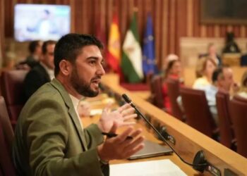 IU Sevilla denuncia que el acuerdo PP-Vox sobre el padrón es ilegal y vulnera derechos fundamentales