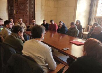 IU Sevilla: “La privatización deja en el aire el empleo de los laborales de la limpieza en los colegios públicos”