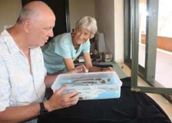 Descrito el esqueleto más antiguo y completo hasta la fecha de ‘Homo habilis’