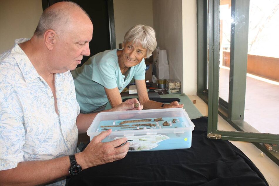 Descrito el esqueleto más antiguo y completo hasta la fecha de ‘Homo habilis’