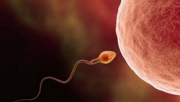 Descubren un reloj molecular oculto del envejecimiento en el ARN del esperma humano