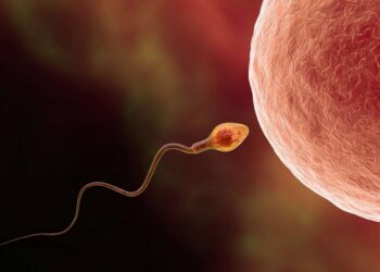 Descubren un reloj molecular oculto del envejecimiento en el ARN del esperma humano