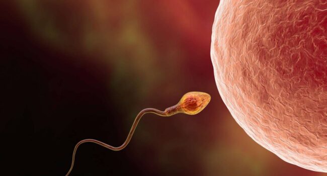 Descubren un reloj molecular oculto del envejecimiento en el ARN del esperma humano