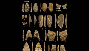 Durante el Paleolítico superior existieron redes sociales de miles de kilómetros cuadrados