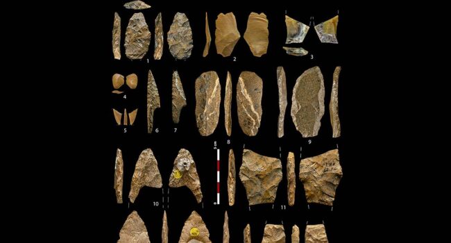 Durante el Paleolítico superior existieron redes sociales de miles de kilómetros cuadrados