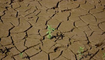 El mundo entra en ‘bancarrota hídrica’, según un informe de la ONU