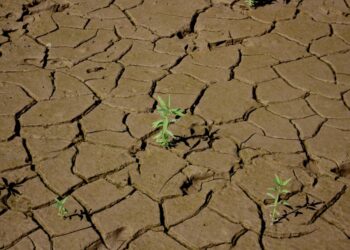 El mundo entra en ‘bancarrota hídrica’, según un informe de la ONU