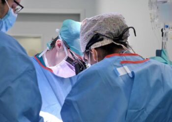 España superó los 6 300 trasplantes de órganos en 2025 y sigue como líder mundial