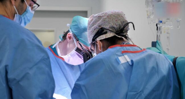 España superó los 6 300 trasplantes de órganos en 2025 y sigue como líder mundial