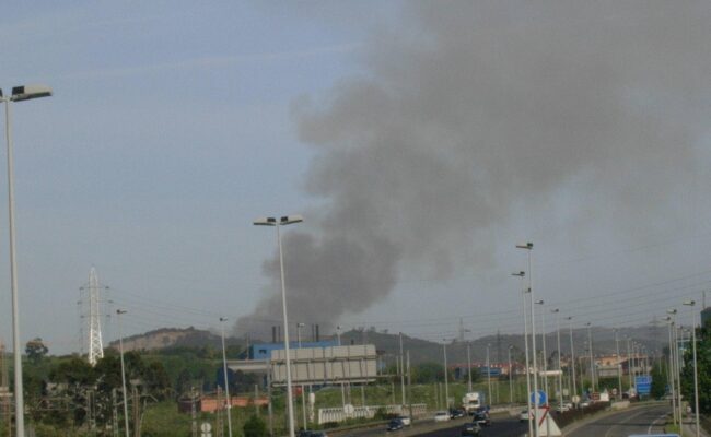 Ecologistas en Acción exige total transparencia y una investigación profunda respecto al incendio en Ferroatlántica