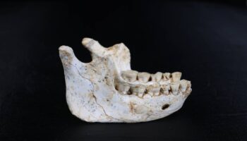 Fósiles hallados en Marruecos podrían ser de ancestros muy cercanos a los humanos modernos