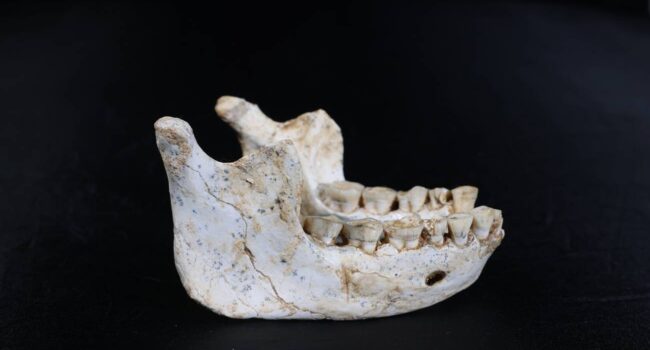 Fósiles hallados en Marruecos podrían ser de ancestros muy cercanos a los humanos modernos