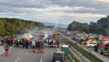 Los agricultores catalanes cortan la AP-7 hasta Figueres (Girona) y dejan 18 kilómetros de colas en protesta contra el acuerdo entre la Unión Europea y Mercosur