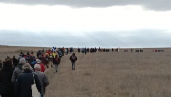 La Plataforma Ecologista Madrileña pide a las Reinas Magas sensatez para cuidar la vida
