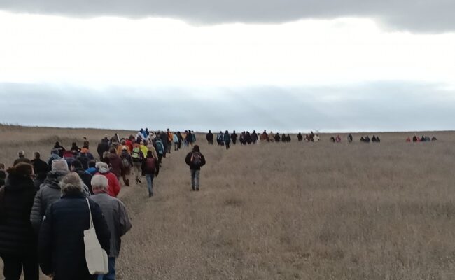 La Plataforma Ecologista Madrileña pide a las Reinas Magas sensatez para cuidar la vida