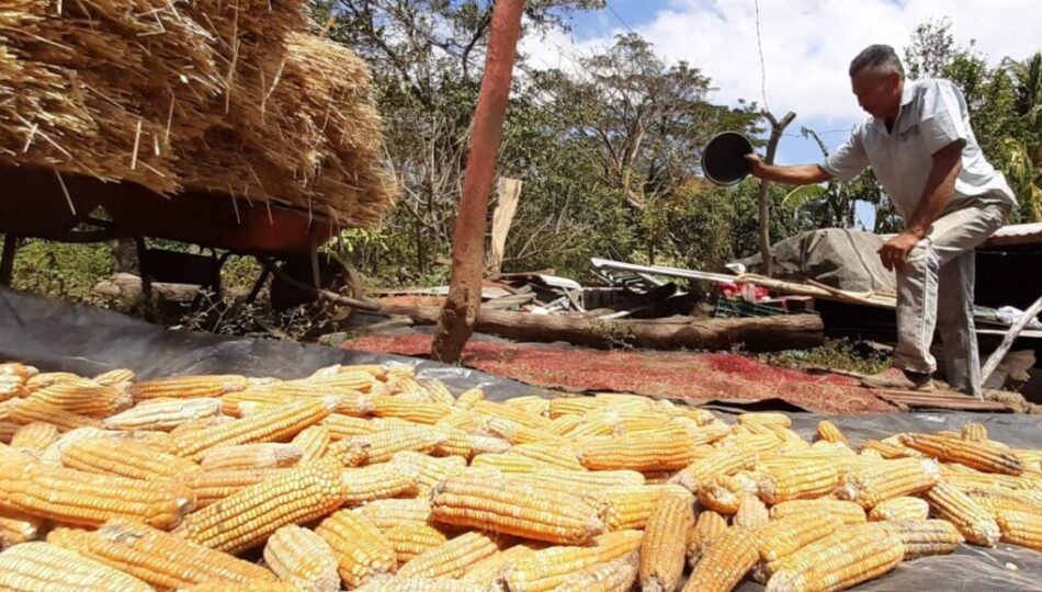 Nicaragua en ruta hacia autosuficiencia alimentaria