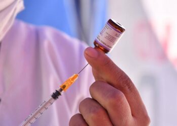 La OMS notifica que se ha restablecido la transmisión endémica del sarampión en España