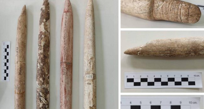 La caza de ballenas comenzó en Sudamérica hace 5000 años, un milenio antes de lo que se creía