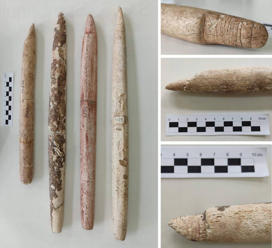 La caza de ballenas comenzó en Sudamérica hace 5000 años, un milenio antes de lo que se creía