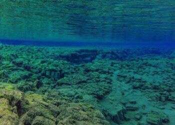 Las temperaturas oceánicas alcanzaron otro récord histórico en 2025