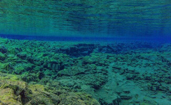 Las temperaturas oceánicas alcanzaron otro récord histórico en 2025