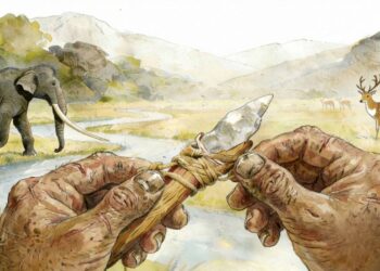 Los homínidos en China usaban herramientas igual de sofisticadas que los africanos y europeos