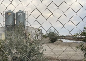 Movimiento Sumar Andalucía rechaza las macrogranjas en Huércal-Overa y respalda a la ciudadanía y a Ecologistas en Acción