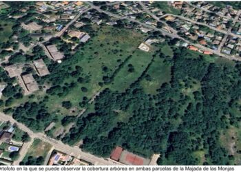 Ecologistas denuncia la intención de construir vivienda en una zona de alto valor ambiental en Becerril de la Sierra