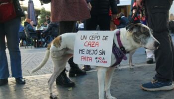 IU-Verdes llama a movilizarse el 1F contra la caza con perros en Murcia y Cartagena