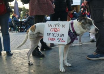 IU-Verdes llama a movilizarse el 1F contra la caza con perros en Murcia y Cartagena