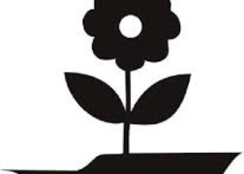 El Movimiento de Objeción de Conciencia y la insumisión. Ejemplo número 100 de resistencia civil noviolenta