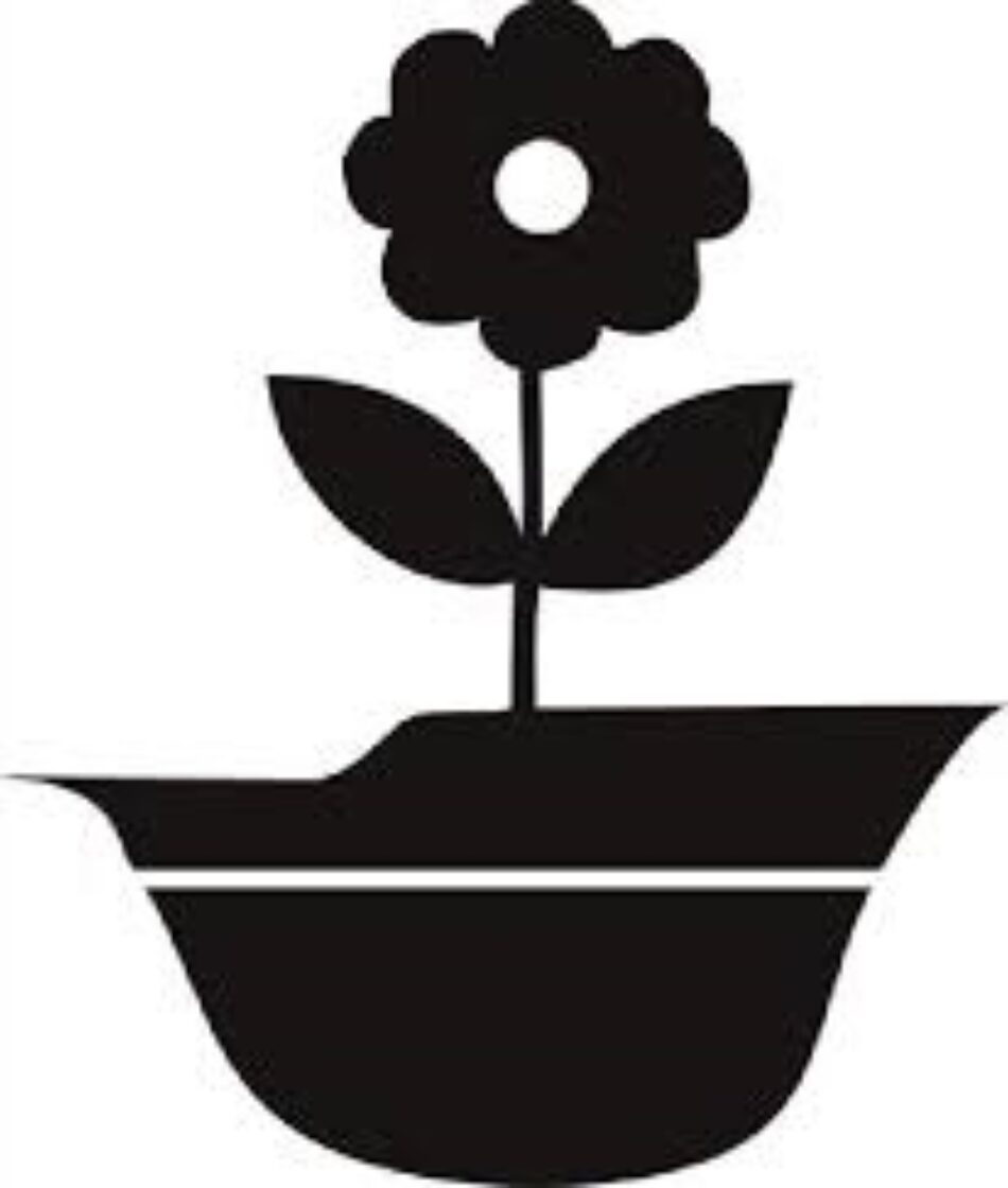 El Movimiento de Objeción de Conciencia y la insumisión. Ejemplo número 100 de resistencia civil noviolenta